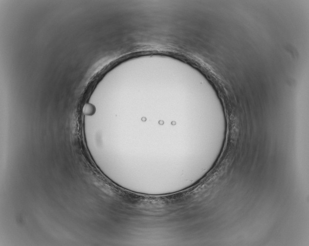 X0000110901215200907091408