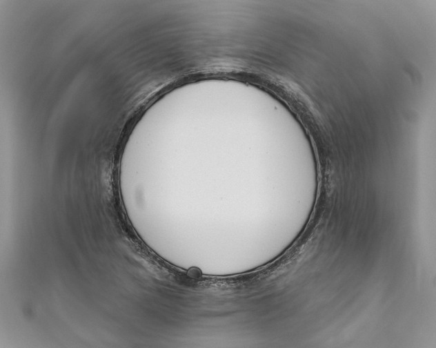 X0000110901217200907091408