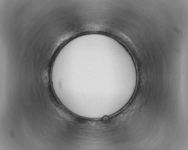 X0000110901218200907091408