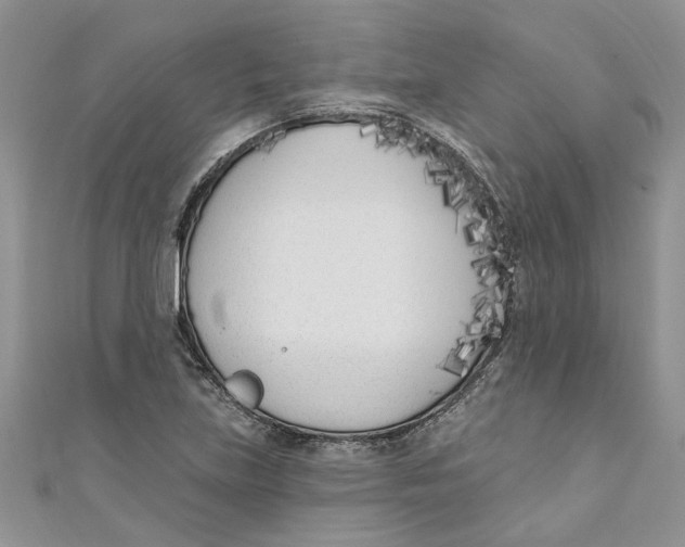 X0000110901219200907091408
