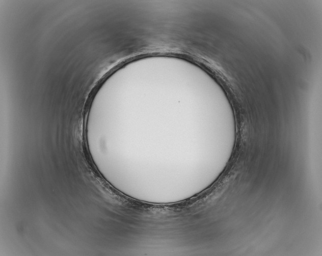 X0000110901220200907091408