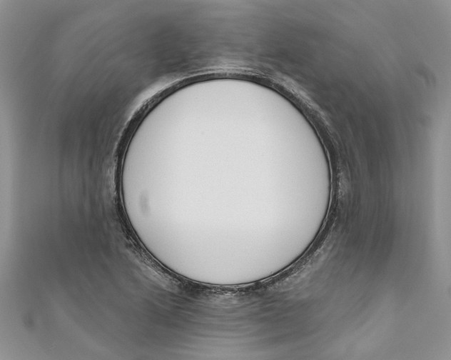 X0000110901222200907091408