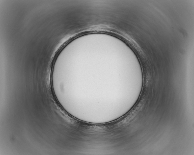 X0000110901224200907091408