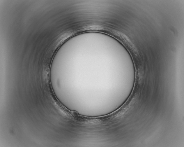 X0000110901225200907091408