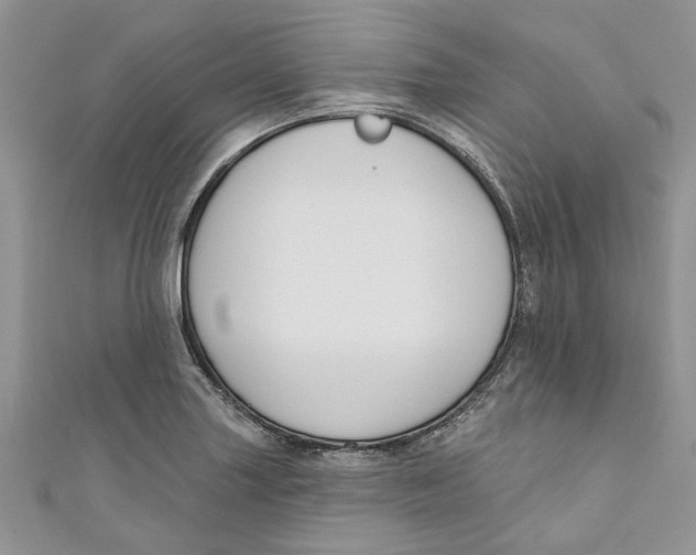 X0000110901227200907091408