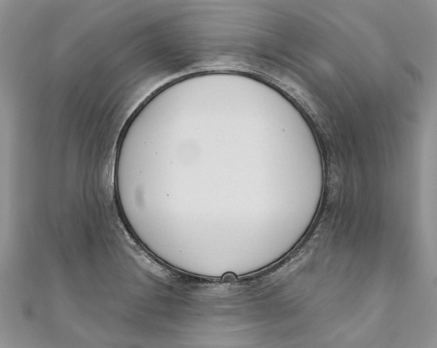X0000110901228200907091408