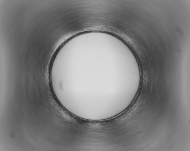 X0000110901230200907091409