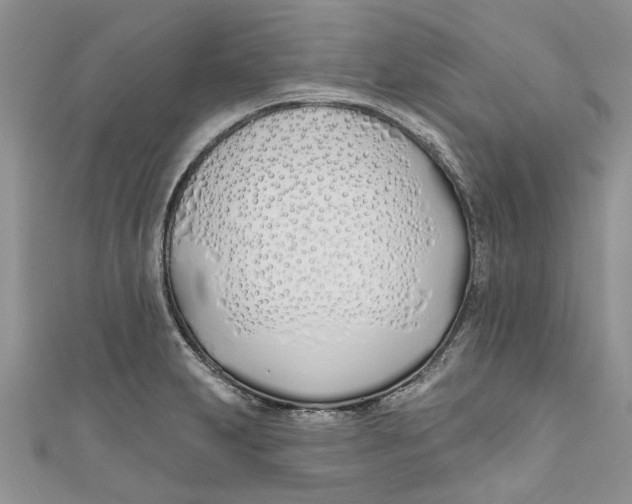 X0000110901231200907091409