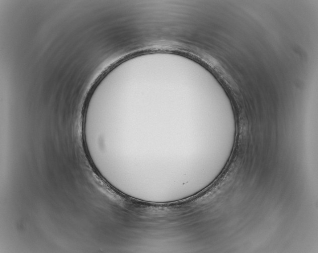 X0000110901232200907091409