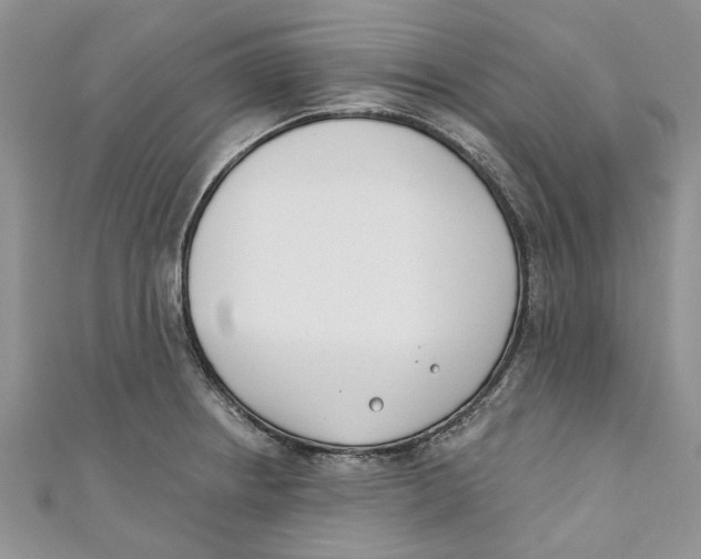 X0000110901234200907091409