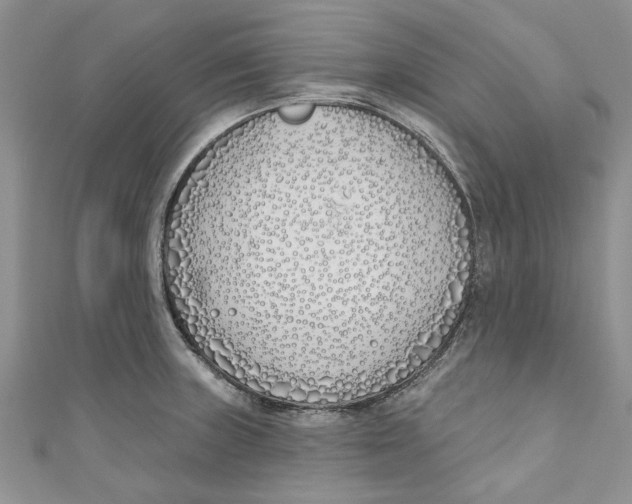 X0000110901235200907091409