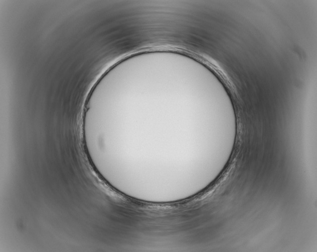 X0000110901236200907091409