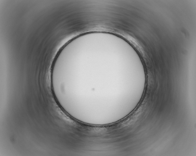 X0000110901238200907091409