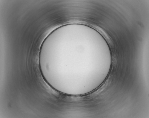 X0000110901244200907091409