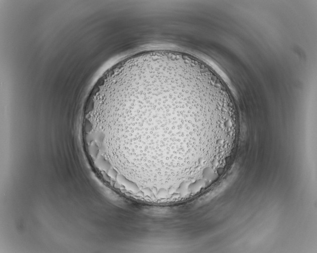 X0000110901245200907091409