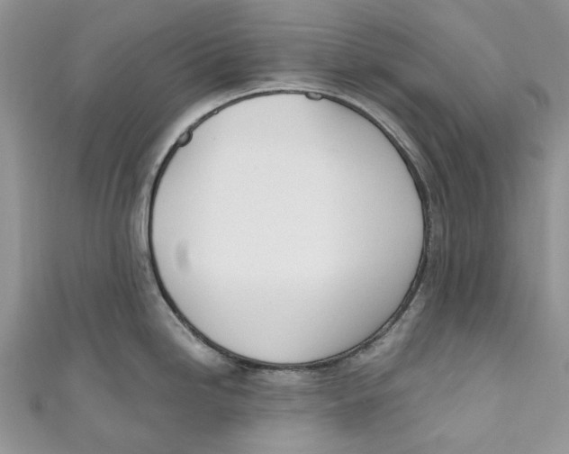 X0000110901246200907091409