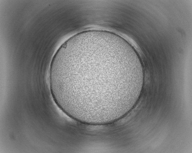 X0000110901247200907091409