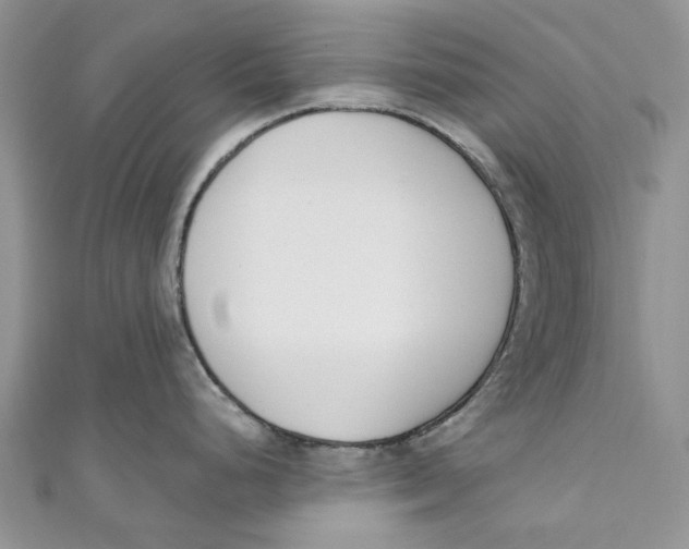 X0000110901248200907091409