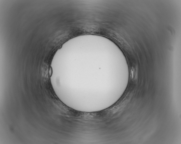 X0000110901251200907091408