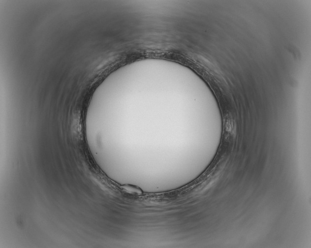 X0000110901252200907091408