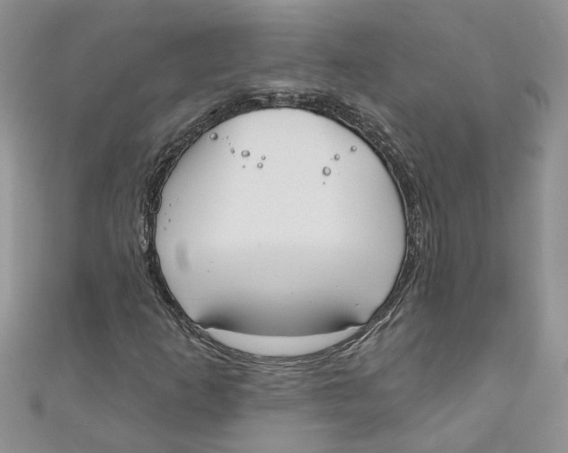 X0000110901253200907091408