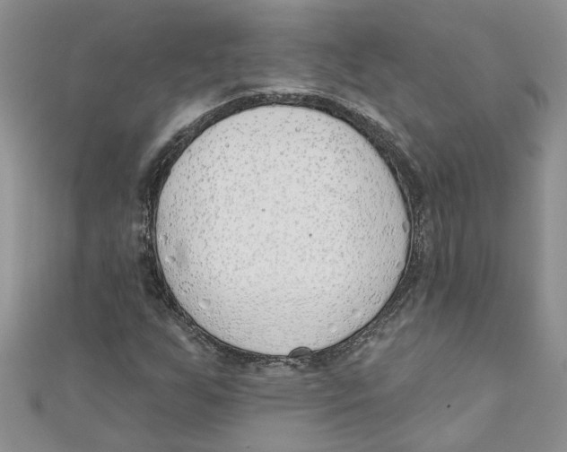 X0000110901255200907091408