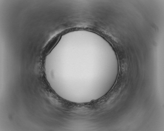 X0000110901256200907091408