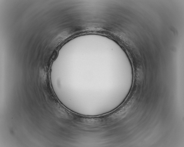 X0000110901257200907091408