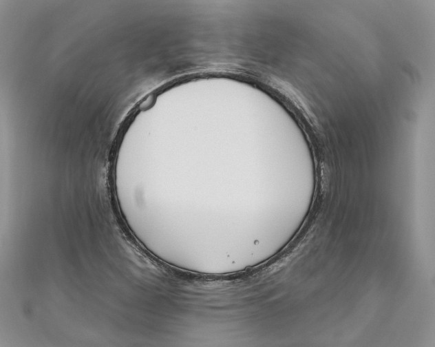 X0000110901260200907091408