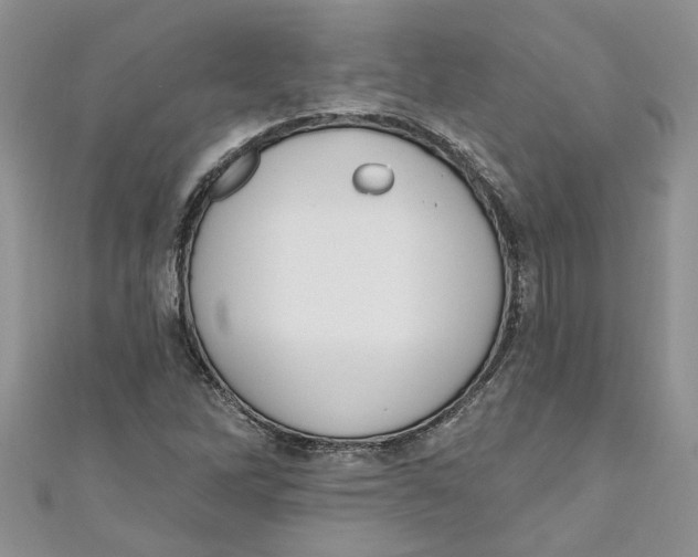 X0000110901262200907091408