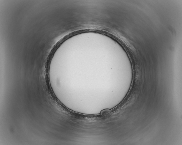 X0000110901264200907091408