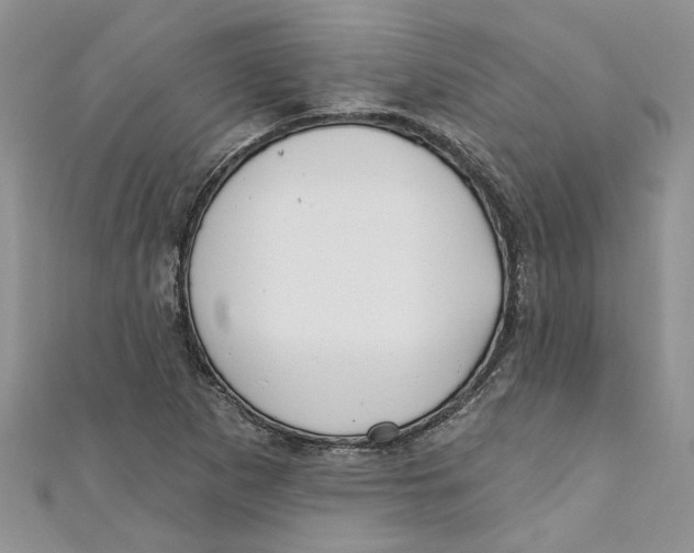 X0000110901265200907091408