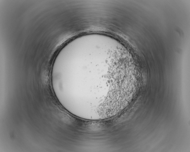 X0000110901266200907091408
