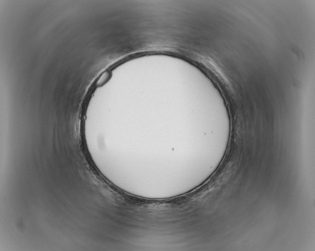 X0000110901268200907091408