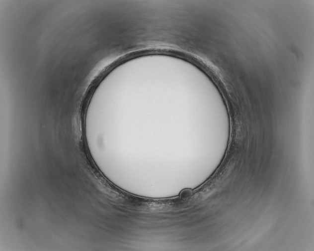 X0000110901271200907091408