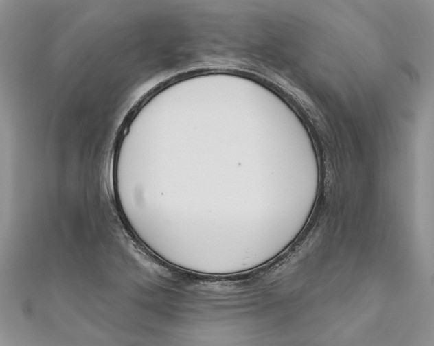 X0000110901272200907091408