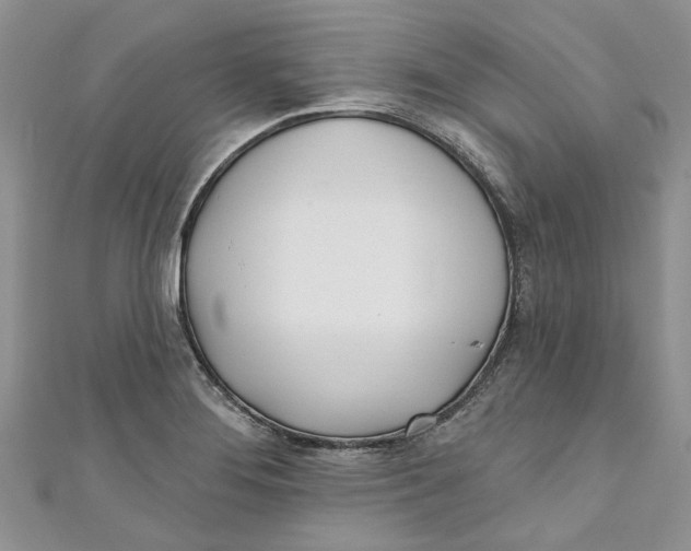 X0000110901276200907091408