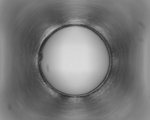 X0000110901277200907091408