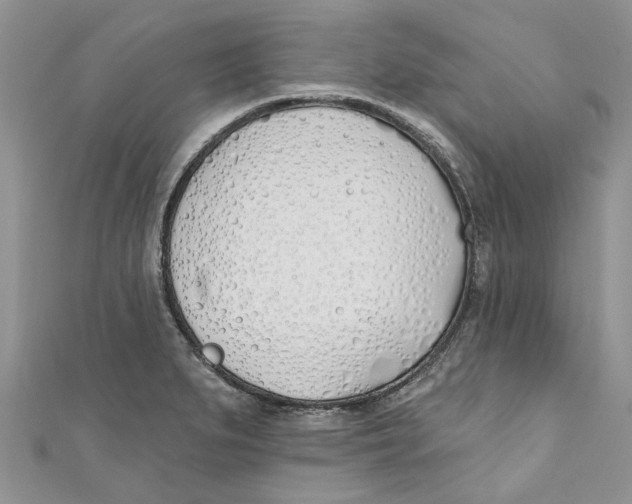 X0000110901279200907091408