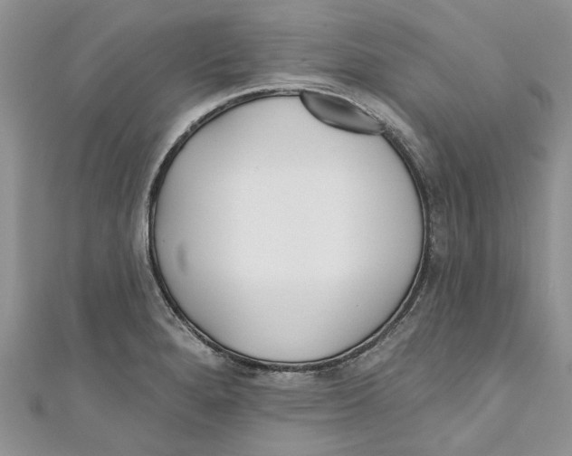 X0000110901280200907091408