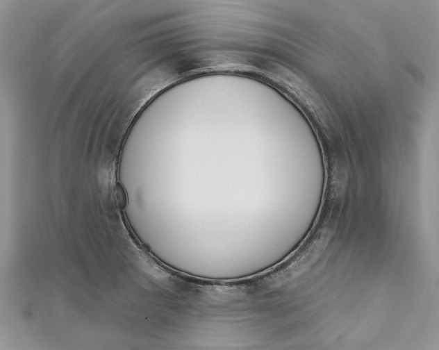 X0000110901281200907091408