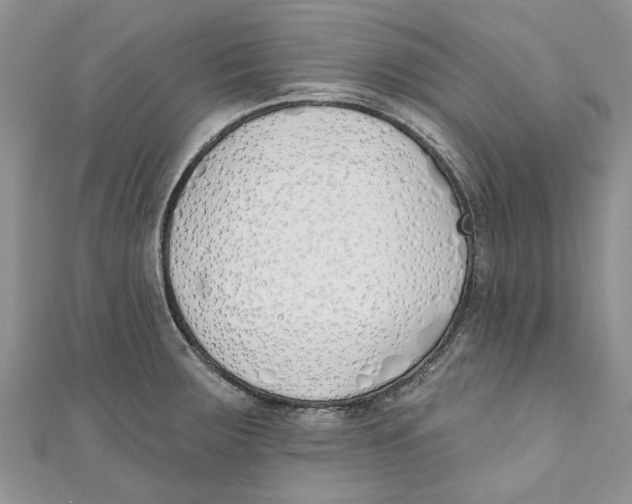 X0000110901283200907091408