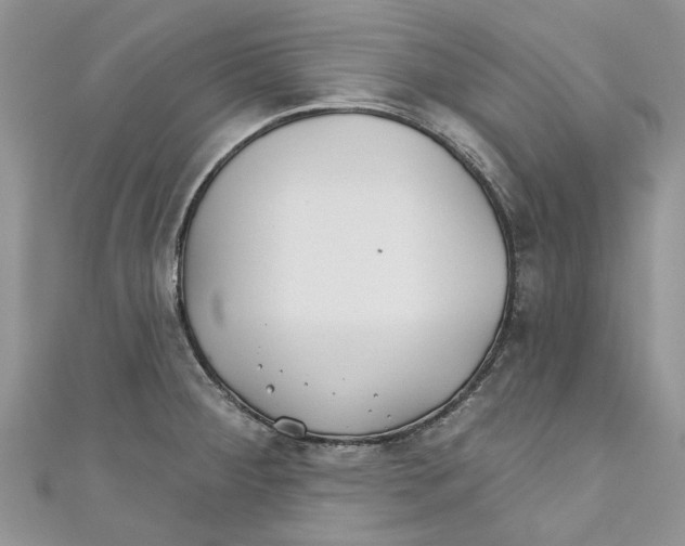 X0000110901284200907091408