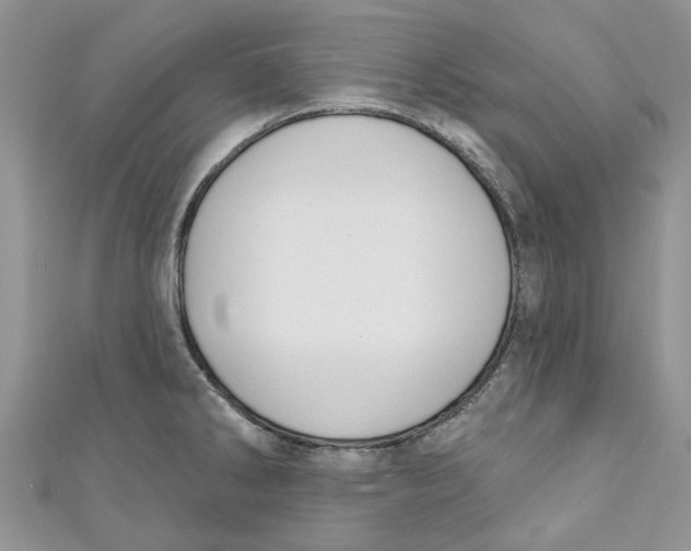 X0000110901286200907091408