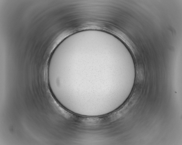 X0000110901290200907091408