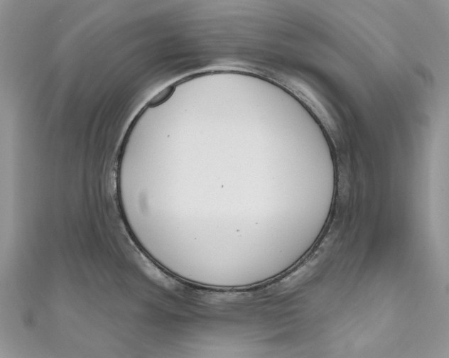 X0000110901292200907091408
