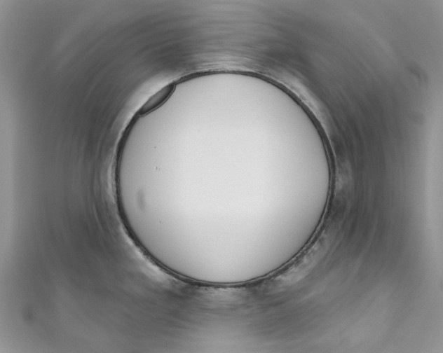 X0000110901293200907091408