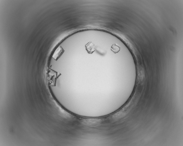 X0000110901294200907091408