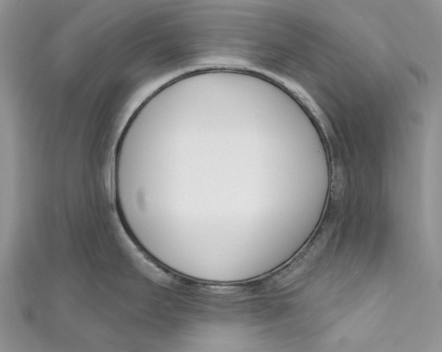 X0000110901295200907091408