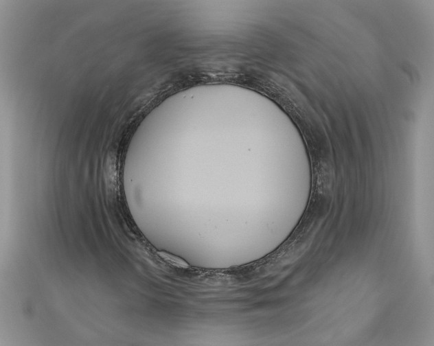 X0000110901298200907091407